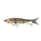 Speed Draw 5.5 Sinking SW - Croaker Flash – 6th Sense Fishing Speed Draw 5.5 Sinking SW - Croaker Flash – 6th Sense Fishing