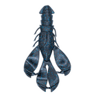 Congo Craw