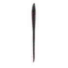 Boosa Shakey Worm