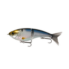 Judo Freshwater Series - Baitfest - 6th Sense Fishing