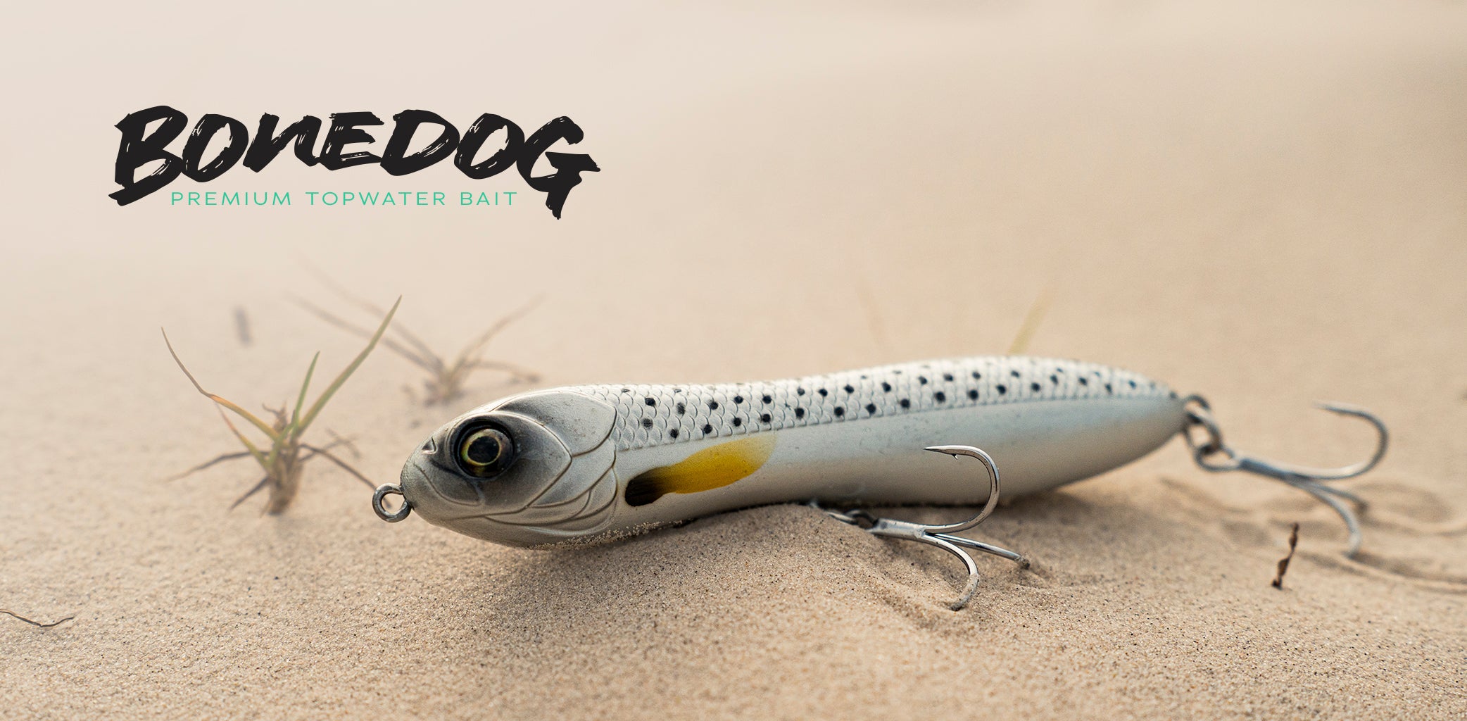 Salty 6 Main Collection – 6th Sense Fishing