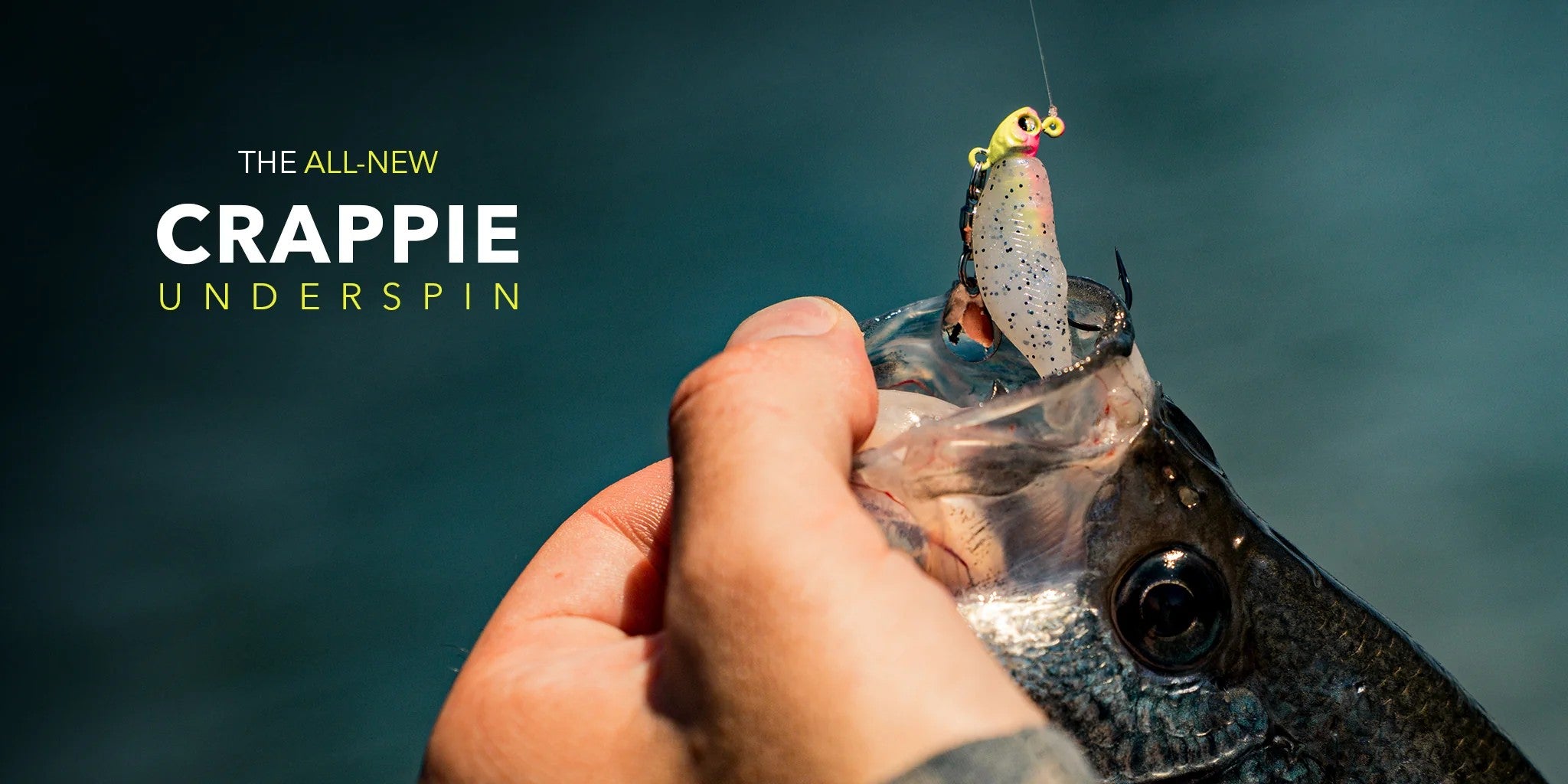 6th sense fishing lure Speed Wake - Black Magic Topwater 6th Sense Crush Series Squarebill