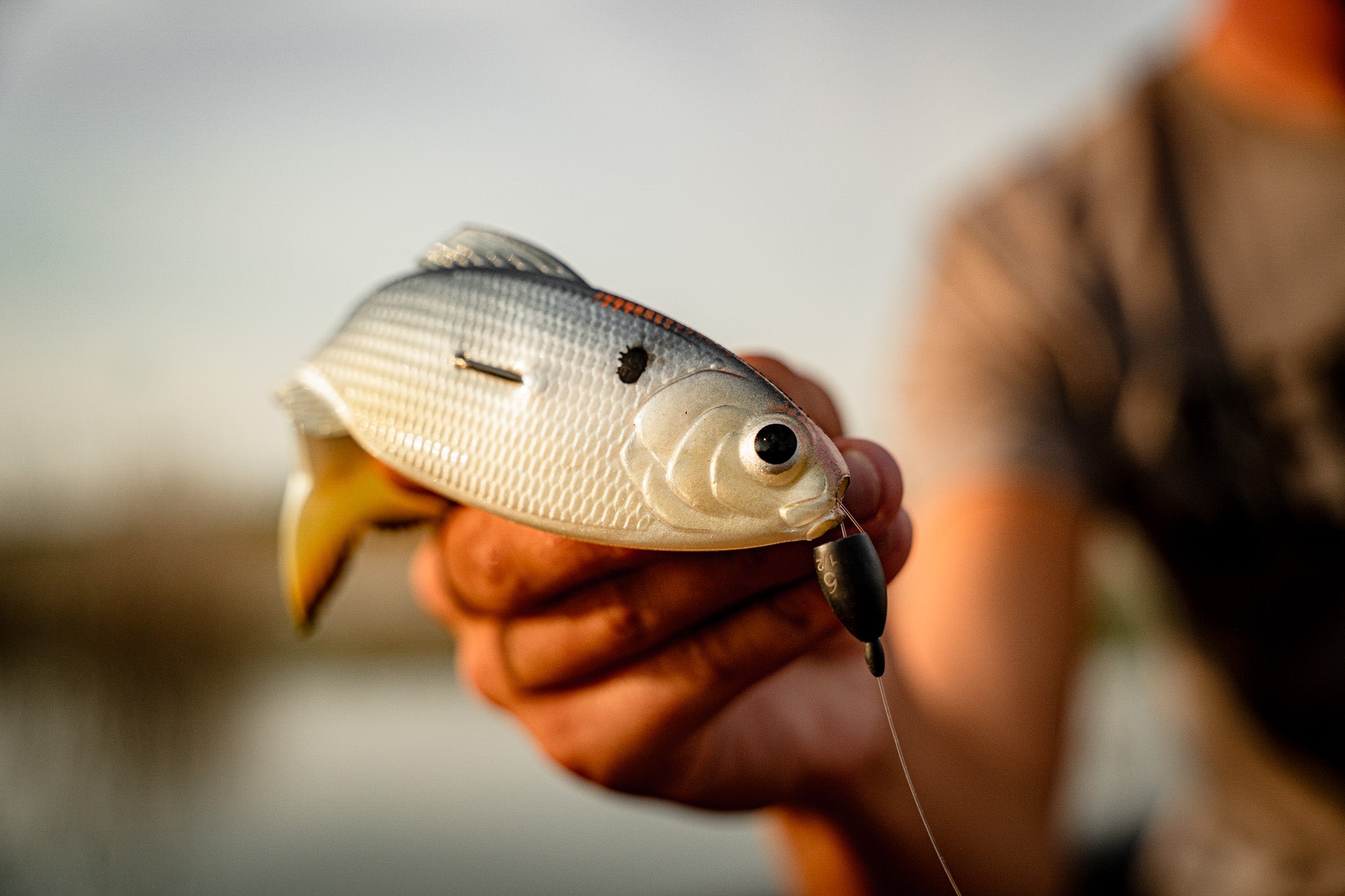 Panorama - Clearwater Shad Fishing Lure