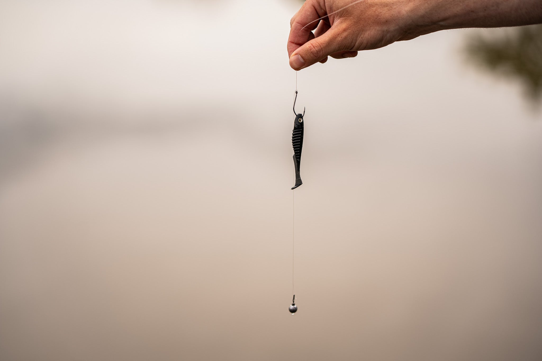 Party Minnow - Black