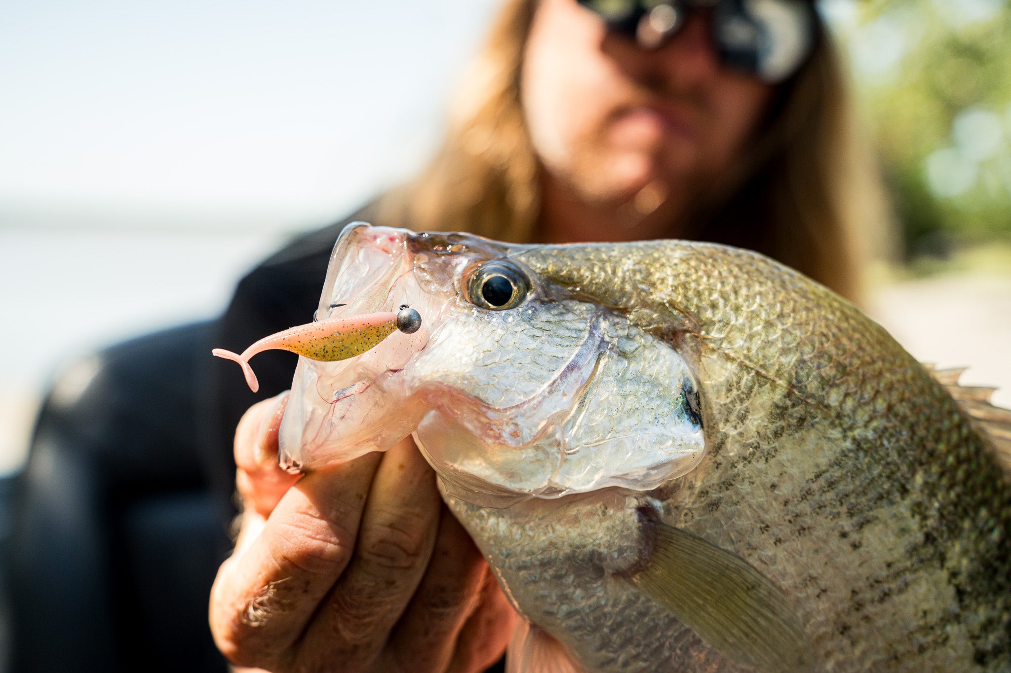 Crappie Ball Jig Head | Balanced Jig for Crappie – 6th Sense Fishing