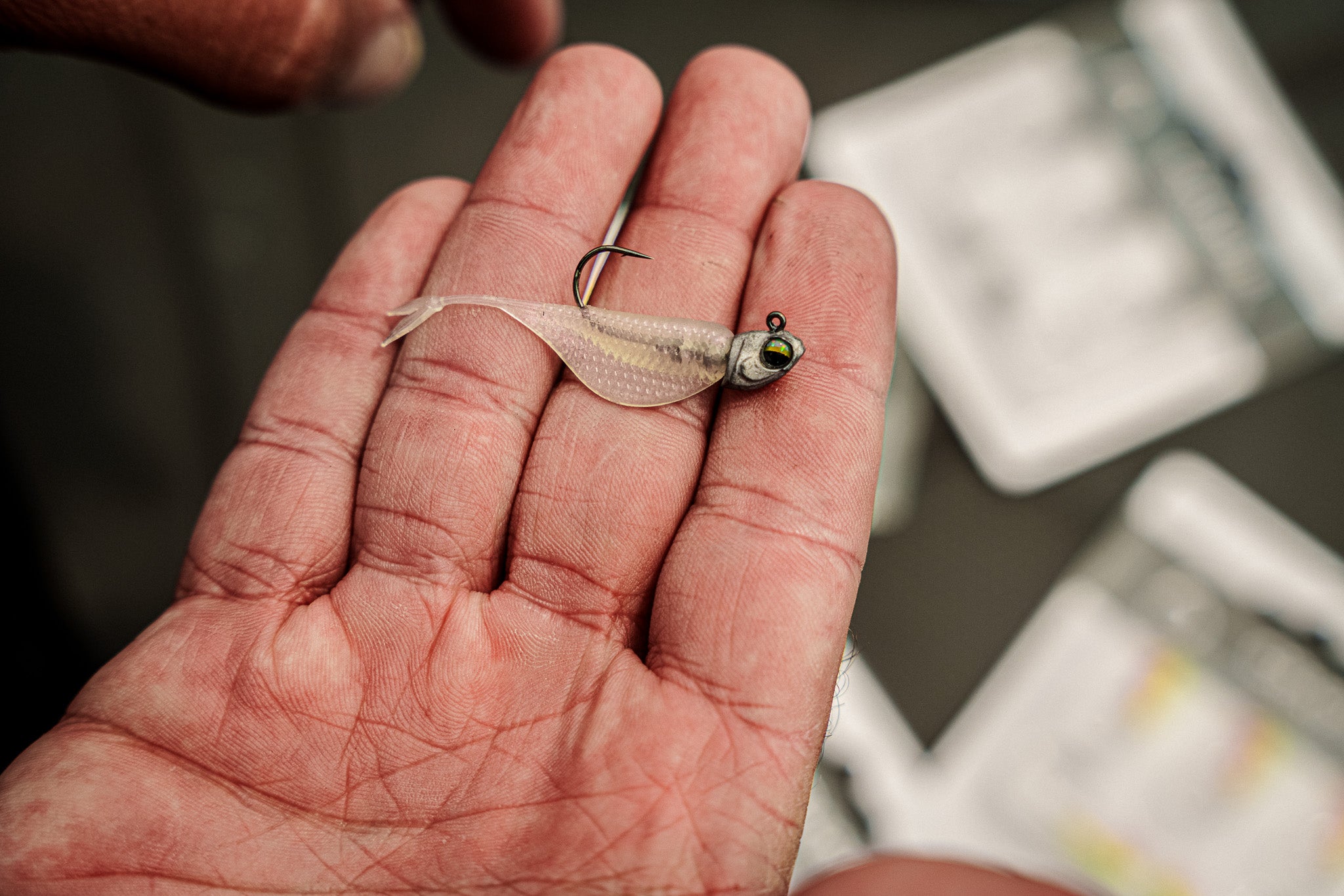 Crappie Jig Heads - Silver Shad Terminal Tackle | 6th Sen – 6th