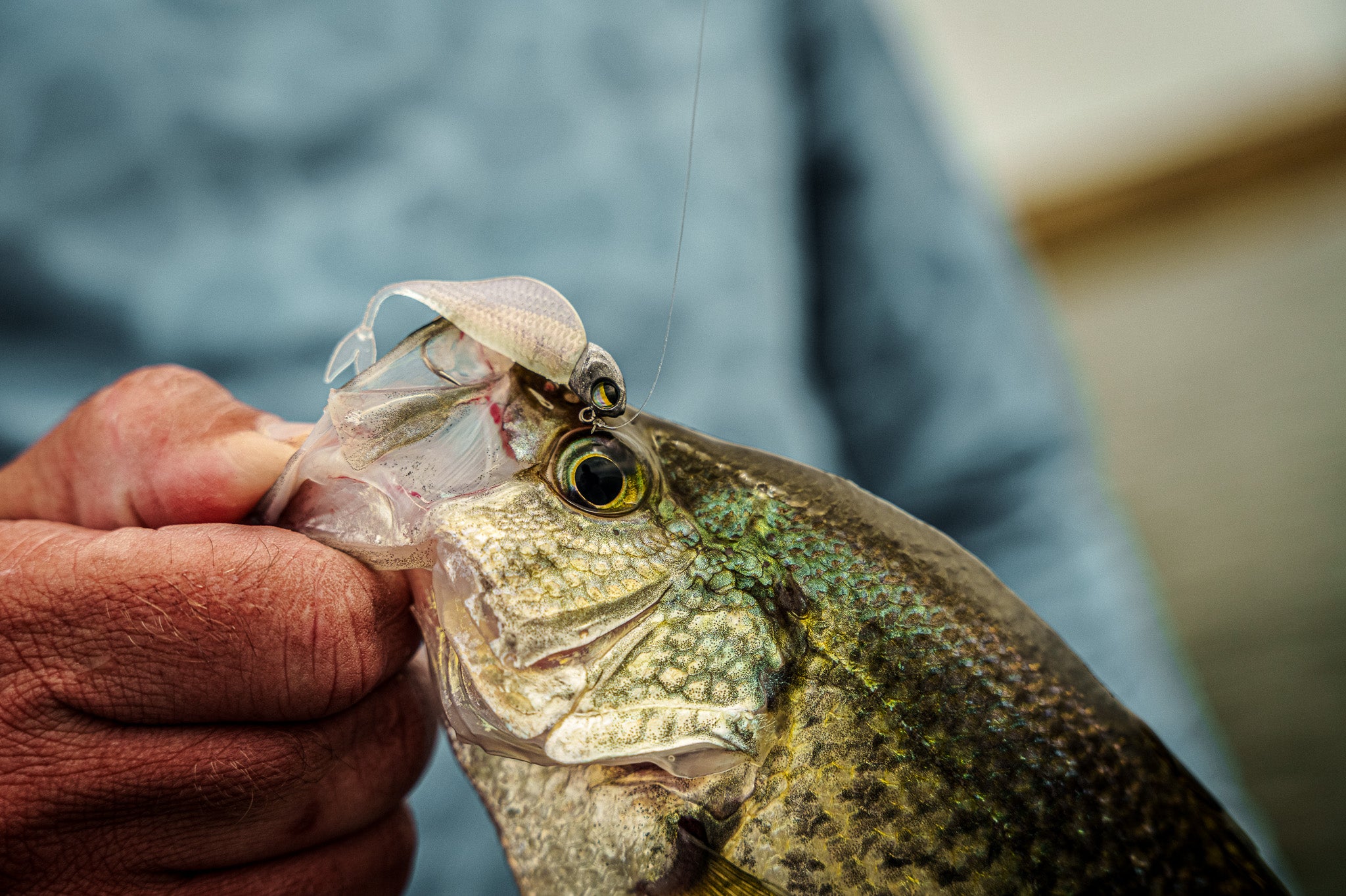 GODJ Plus シルバー GODJ Plus シルバー 2025年最新】GODJ Plusの人気アイテム