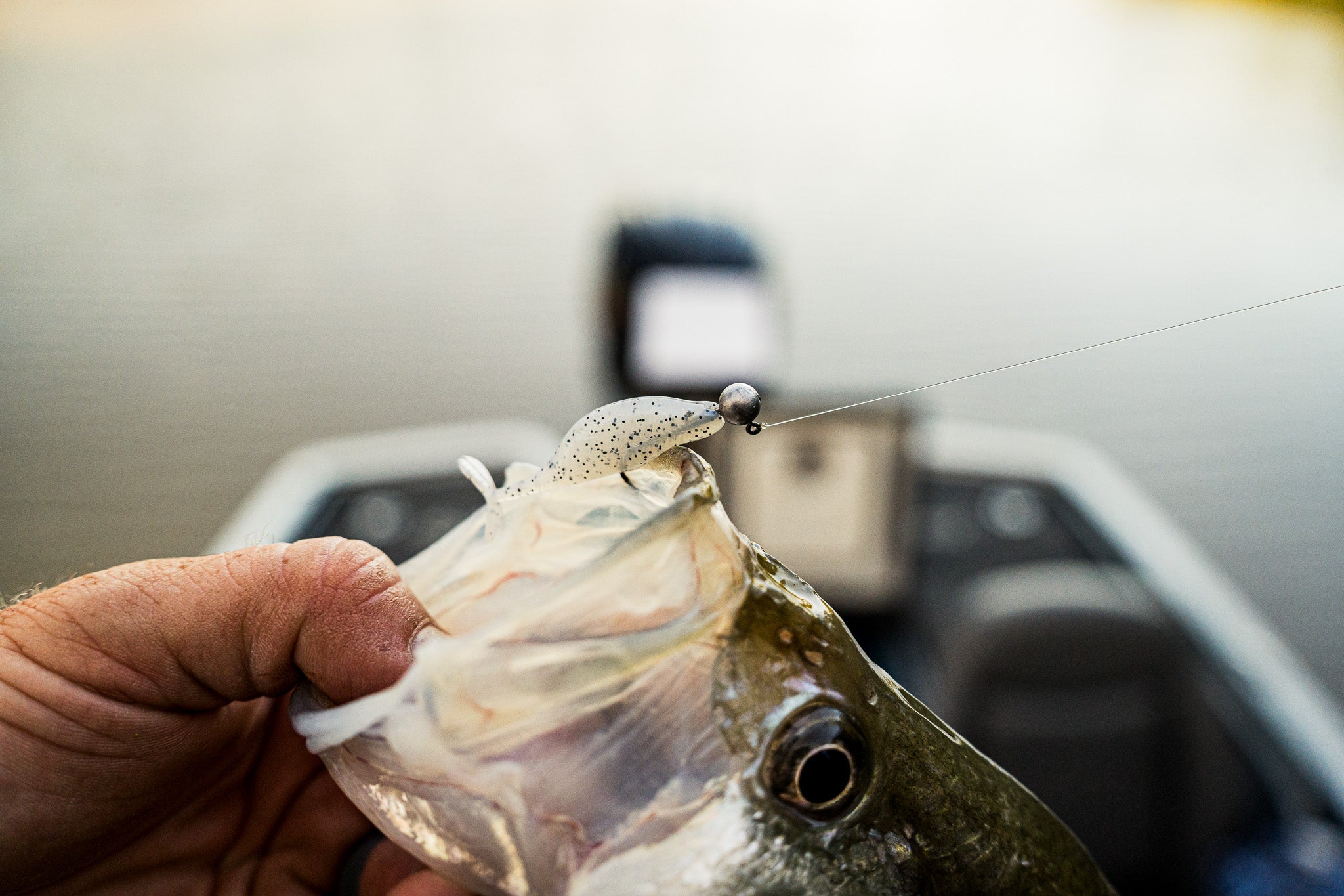 Crappie Ball Jig Head | Balanced Jig for Crappie – 6th Sense Fishing