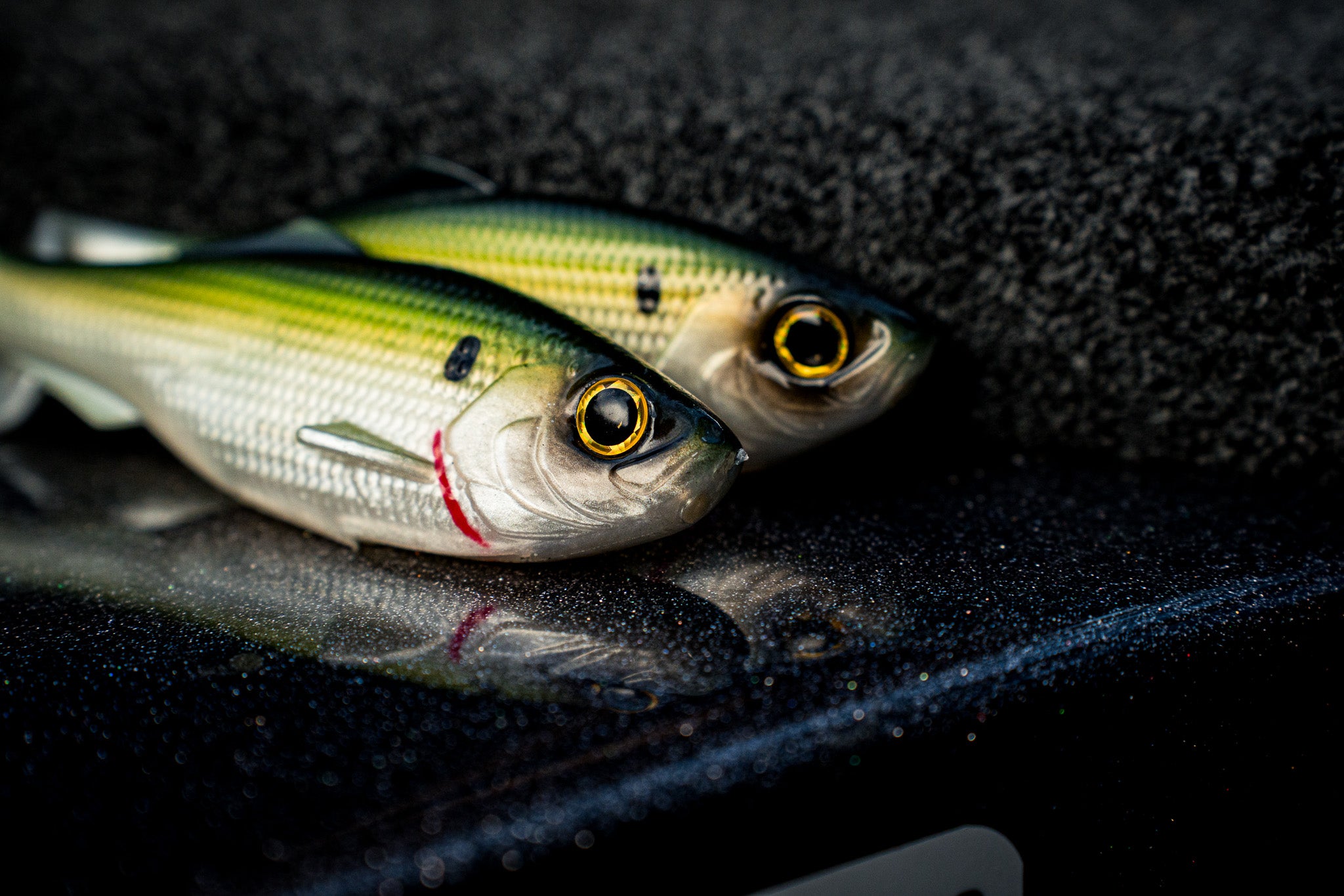 Super Sweep 5.3 Swimbait – Aggressive Action, Weedless Rigging