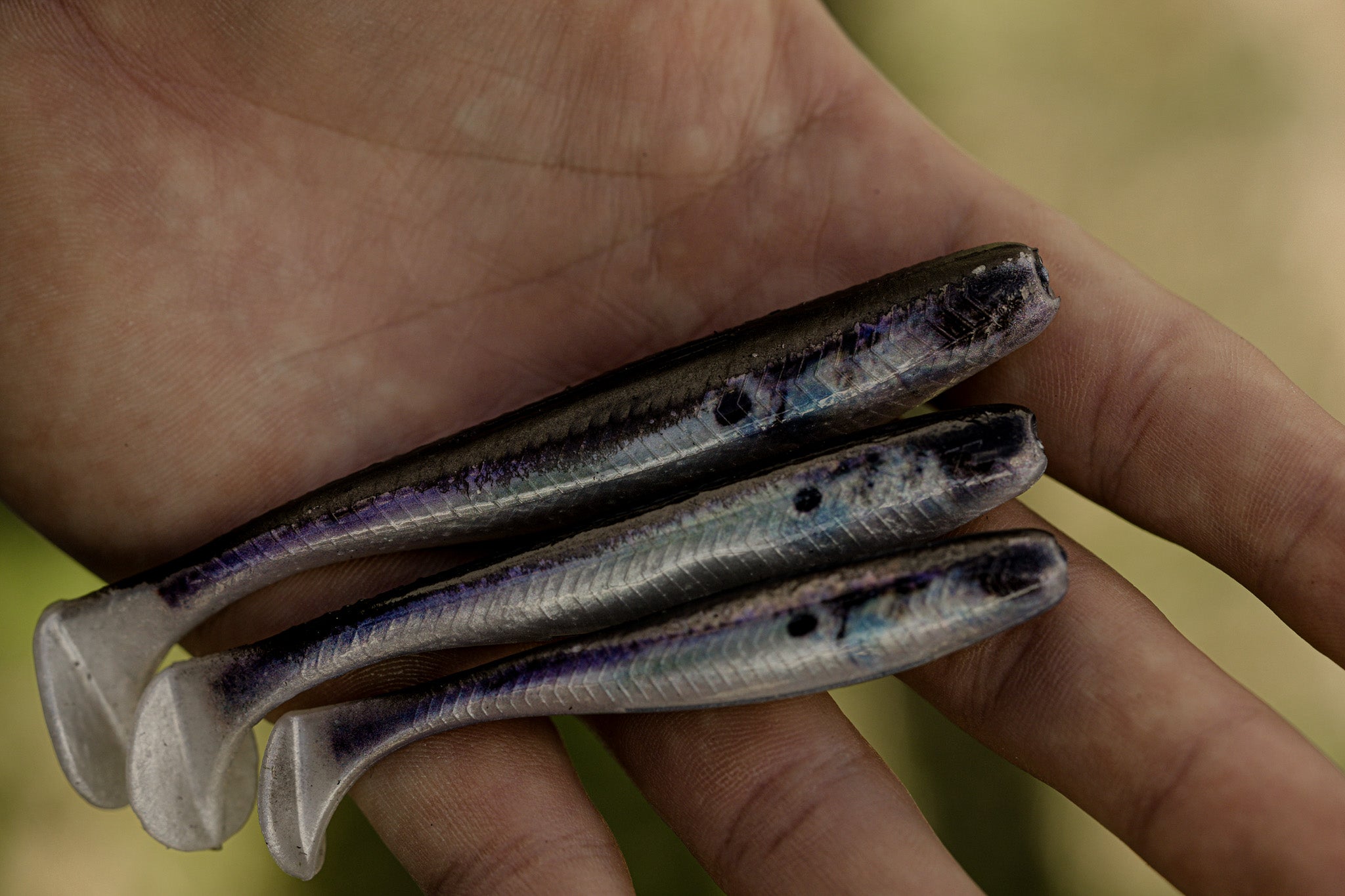 Divine Swimbait - Live Shad