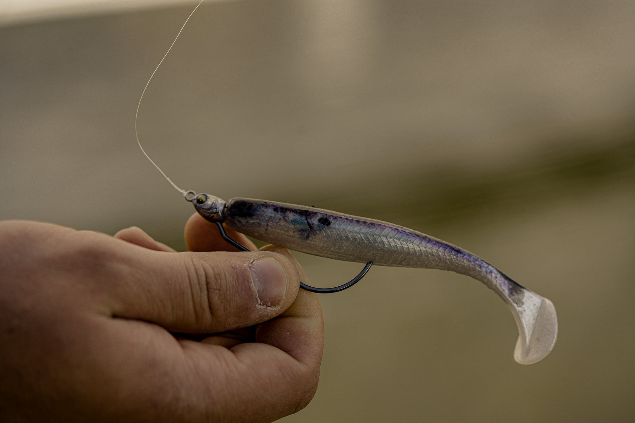 Divine Swimbait - Live Shad