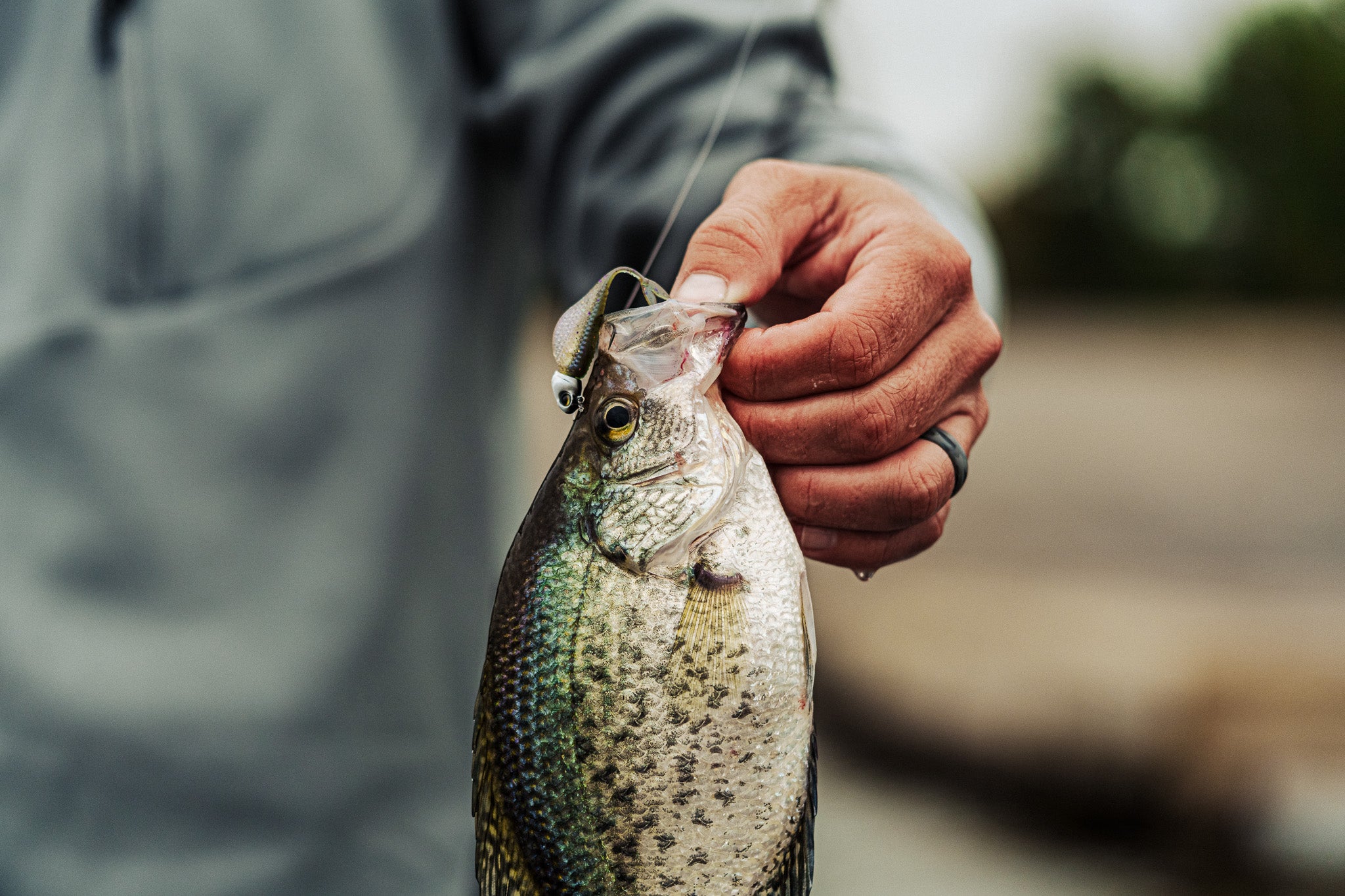 【お盆休み値下げ】REALHEAD ドクロマニヨン ソフビ お盆休み値下げ】REALHEAD ドクロマニヨン ソフビ お盆休み値下げ