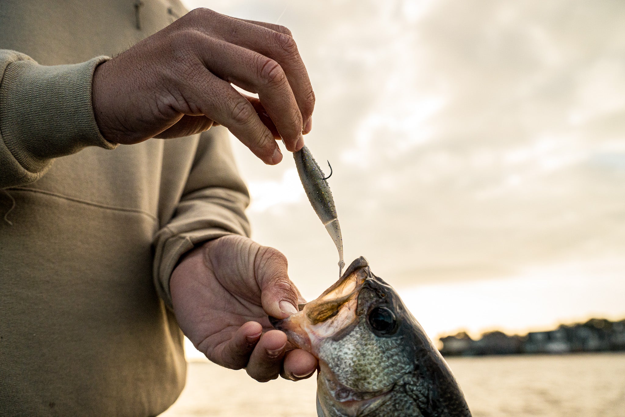 Ozzie 4.0 - Gizzard Shad Fishing Lure | 6th Sense Fishing