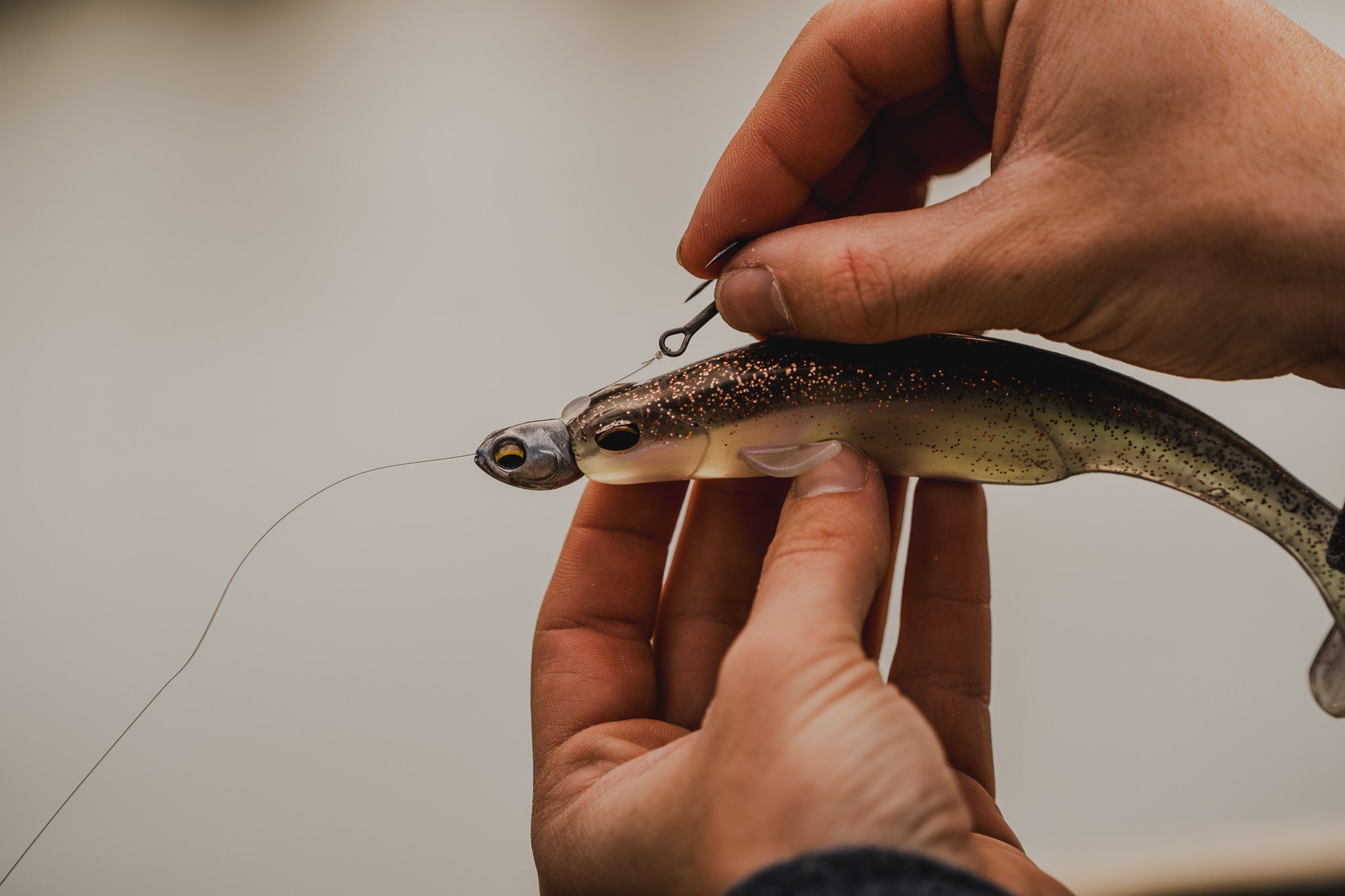 Whale Swimbait 6.0 - Clearwater Rose