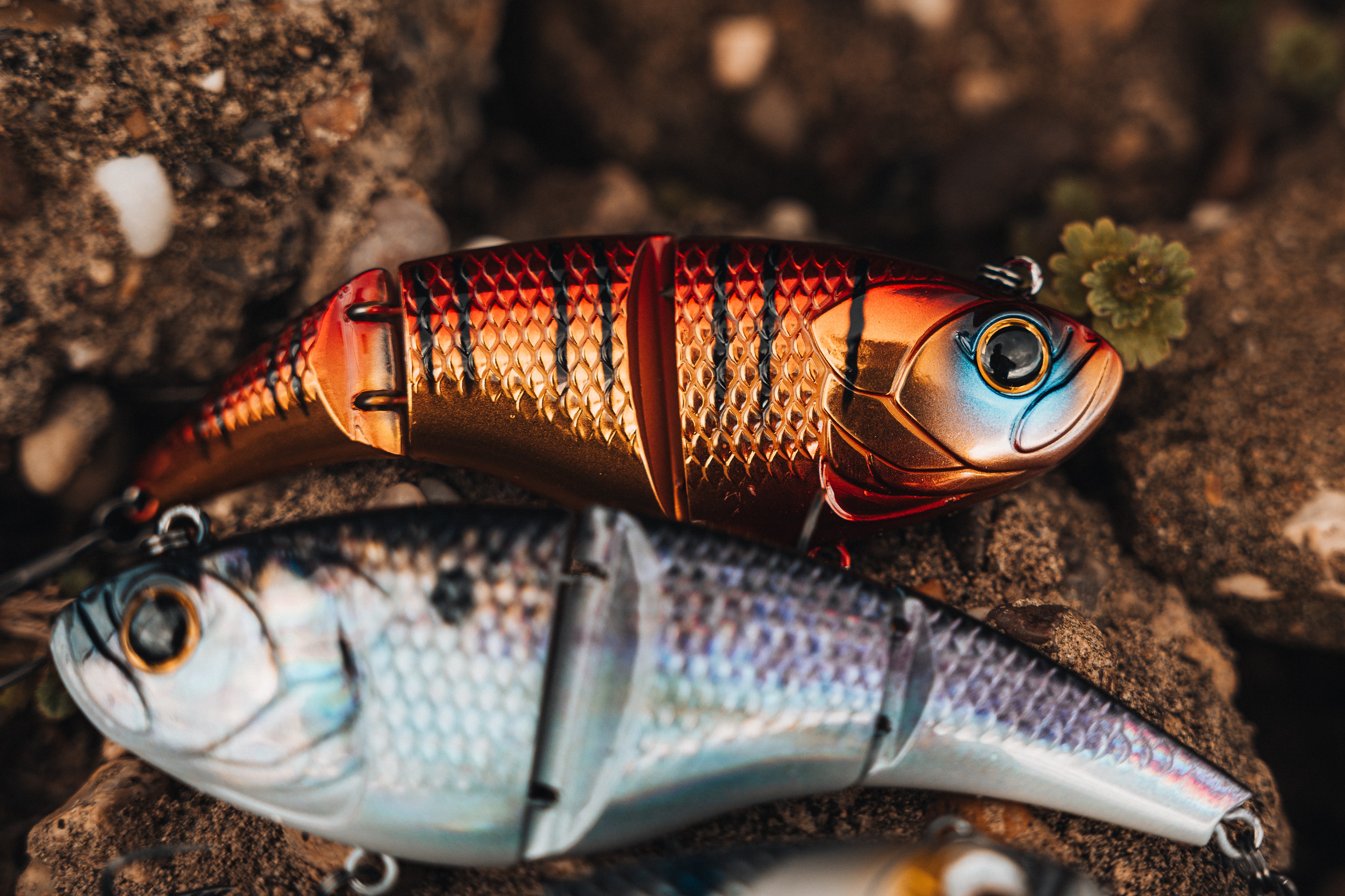 Pump Vibe 5.0 Sinking - Rayburn Gill - 6th Sense Fishing