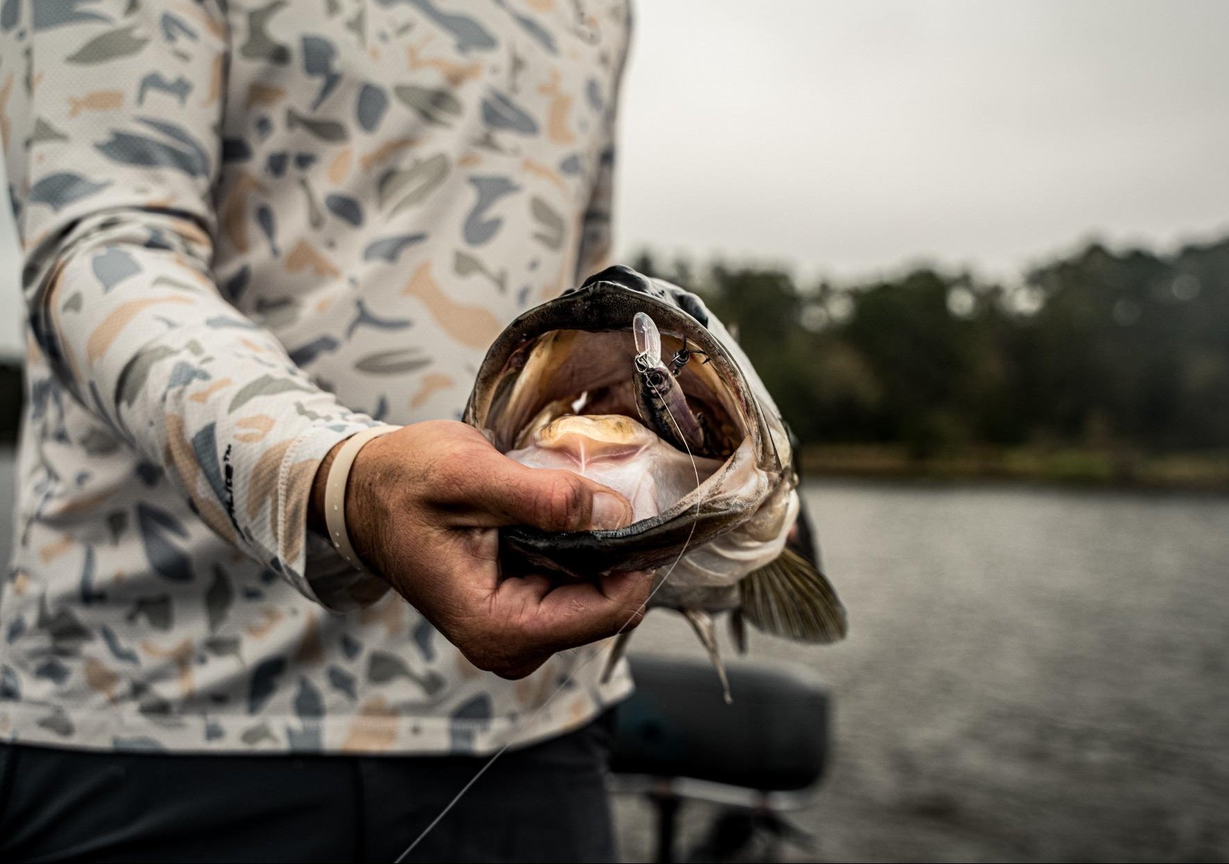 Provoke Series | 6th Sense Fishing