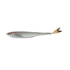 Strobe Minnow - 6th Sense Fishing