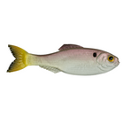 Panorama - Ghost Pro Shad - 6th Sense Fishing