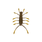 HuzzBug