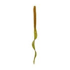 Boosa 9.6 Ribbon Tail - Green Pumpkin Pro - 6th Sense Fishing