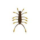 HuzzBug