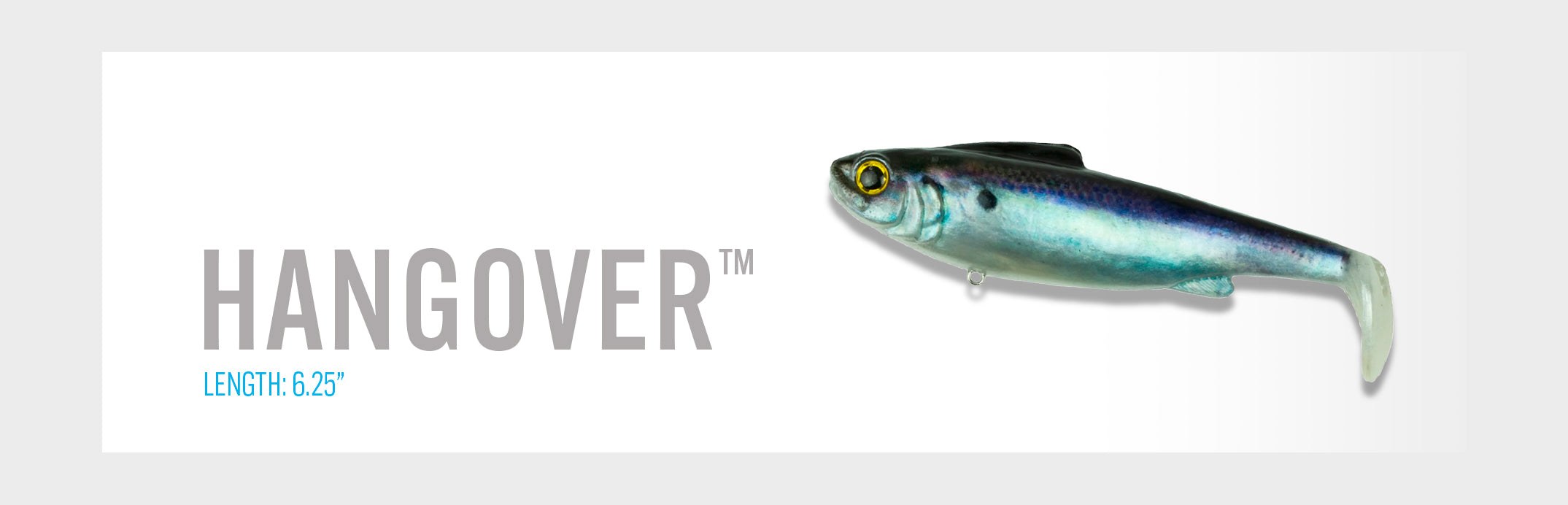 Divine Swimbait Starter Kit