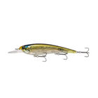 Masterclass Jerkbait 107