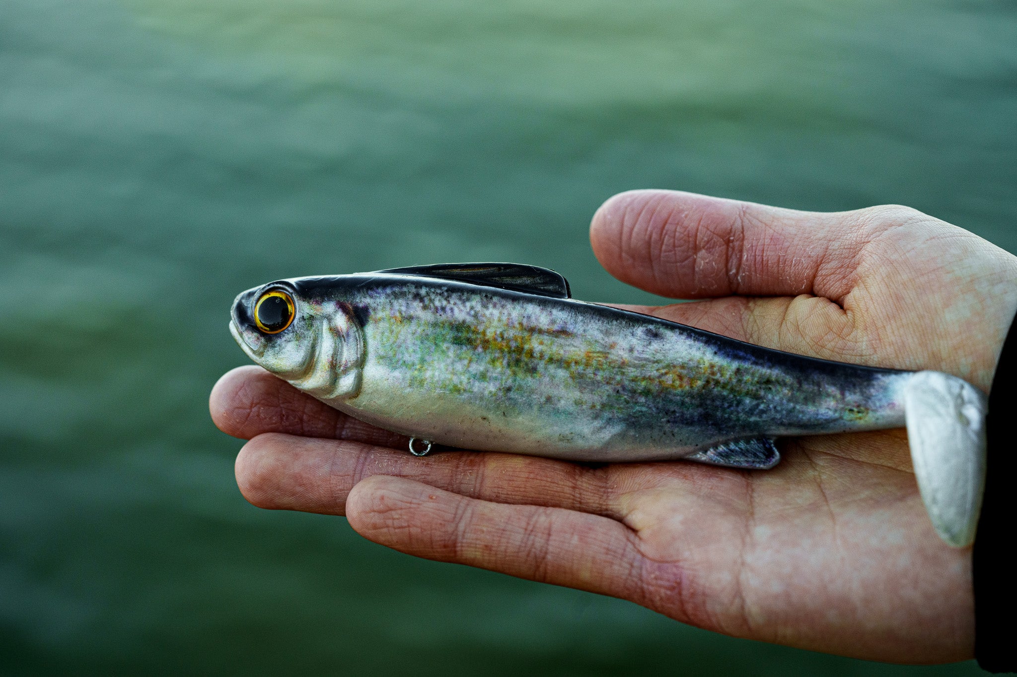 Hangover - Live Shad