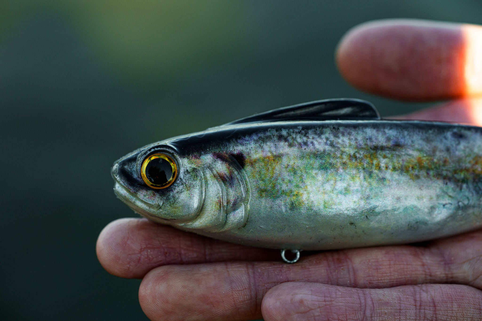 Hangover - Live Shad