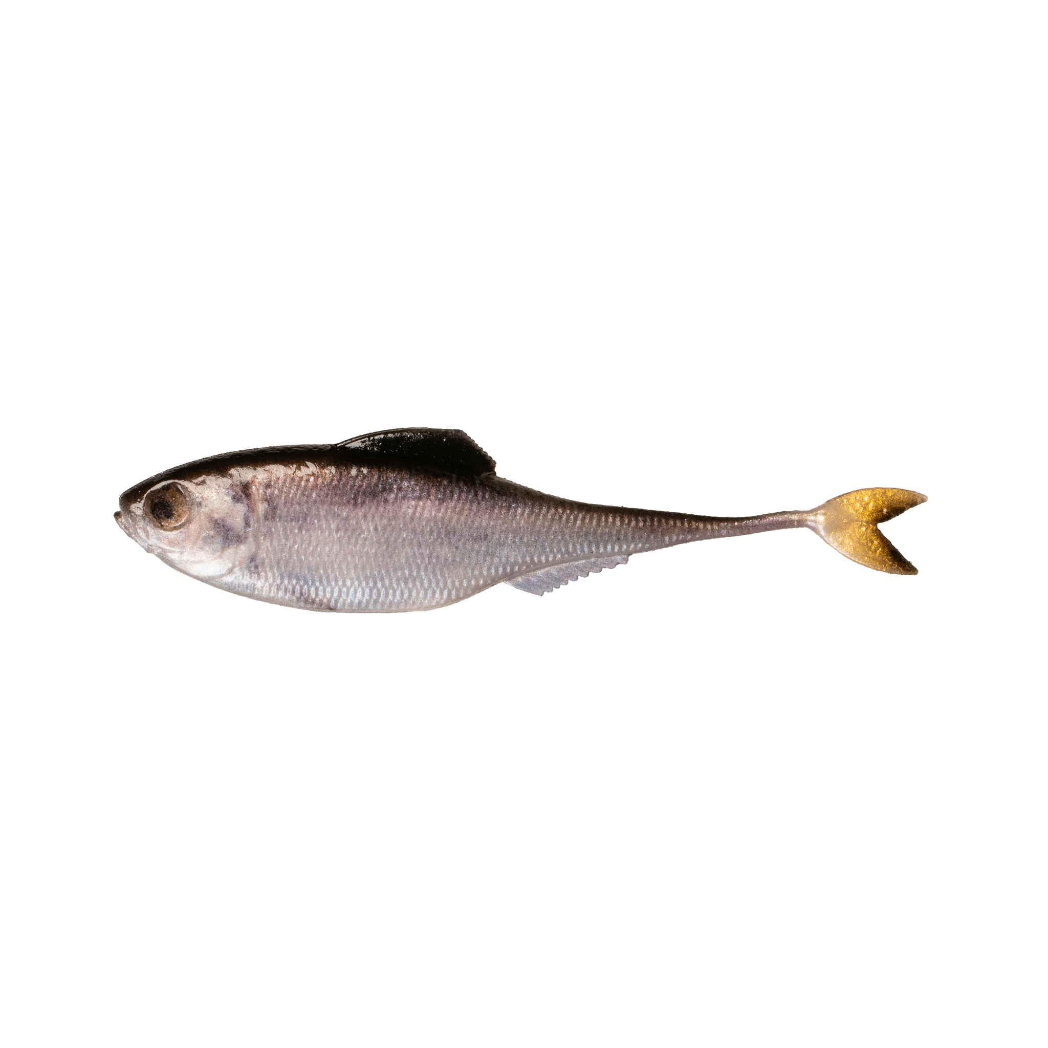 Fiction Shad