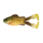 BuzzGill 4.0