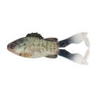 BuzzGill 4.0