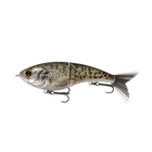 Judo Freshwater Series - Live Crappie - 6th Sense Fishing