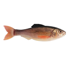 Panorama - Live Shiner - 6th Sense Fishing