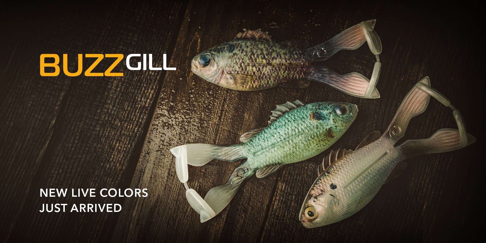 Core-X Jig Head Terminal Tackle | 6th Sense Fishing