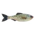 Plump Panorama 5.0 - Live Crappie - 6th Sense Fishing
