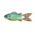 FlipGill
