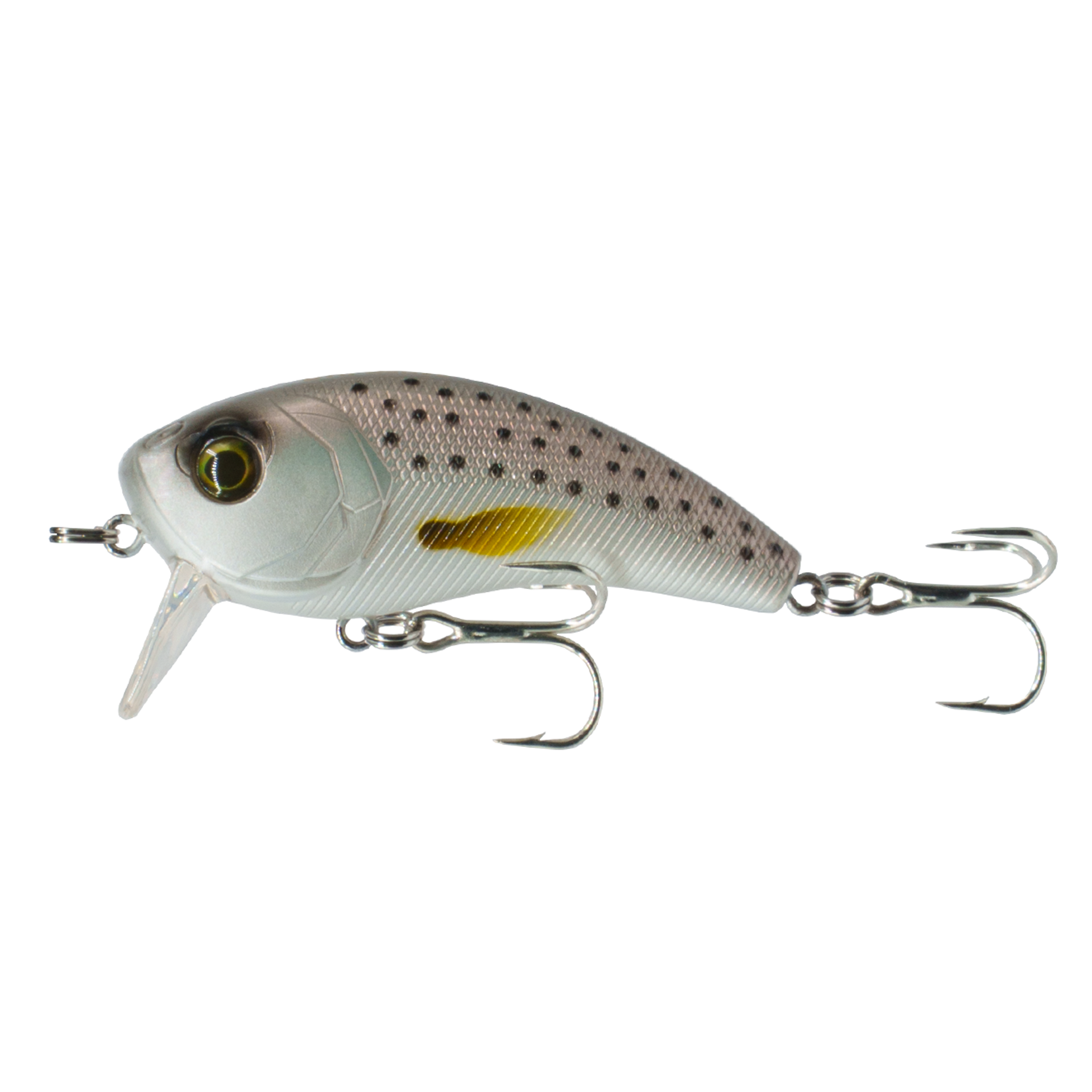 Movement Salt Wake Series - Shrimp Brew Fishing Lure | 6t – 6th