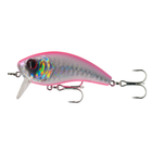 Movement Salt Wake Series