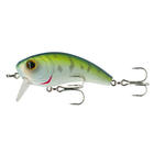 Movement Salt Wake Series