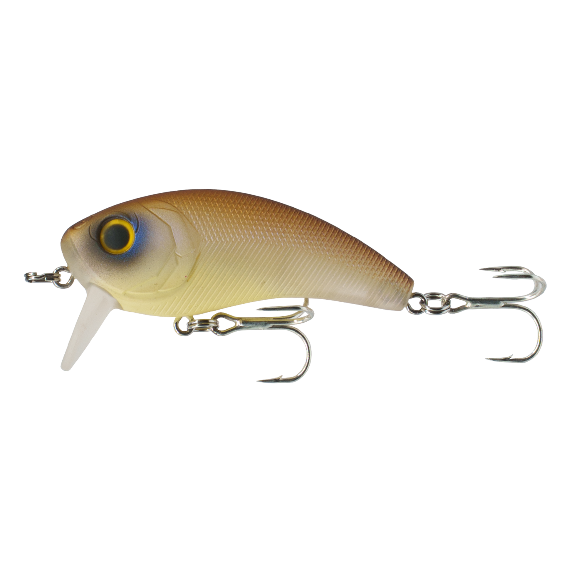 Movement Salt Wake Series - Shrimp Brew Fishing Lure | 6t – 6th