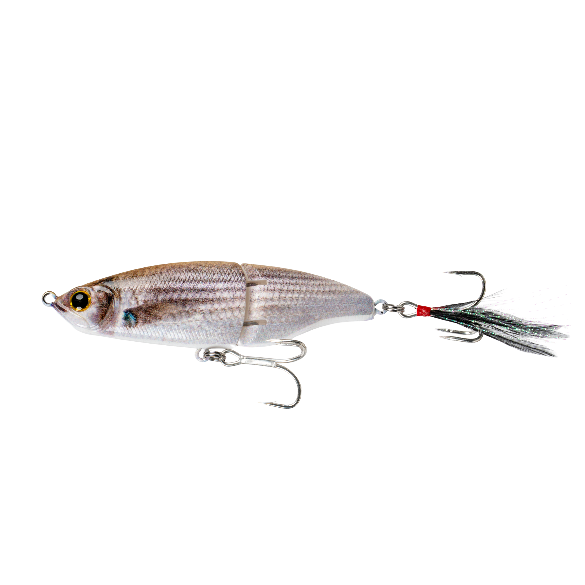 Speed Glide 100 SW - Mullet Flash - 6th Sense Fishing