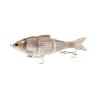 Trace 5" Coastal Series