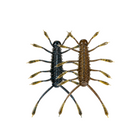 HuzzBug