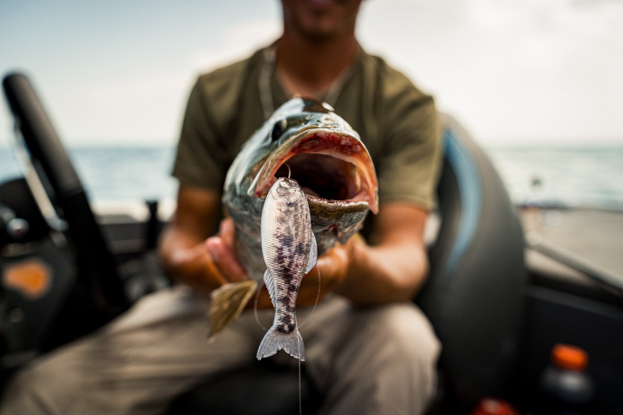 Panorama - Live Goby Fishing Lure | 6th Sense Fishing