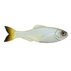 Panorama - Pro Blue - 6th Sense Fishing