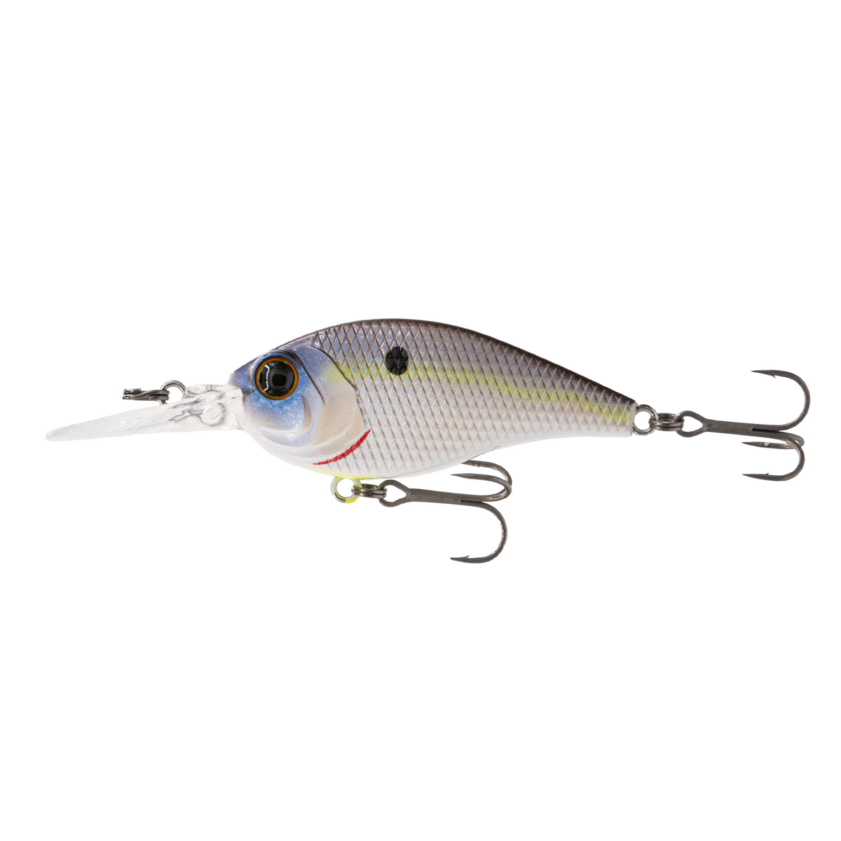 Unlock Angling Success with the Pressure Series Profit Shad Crankbait