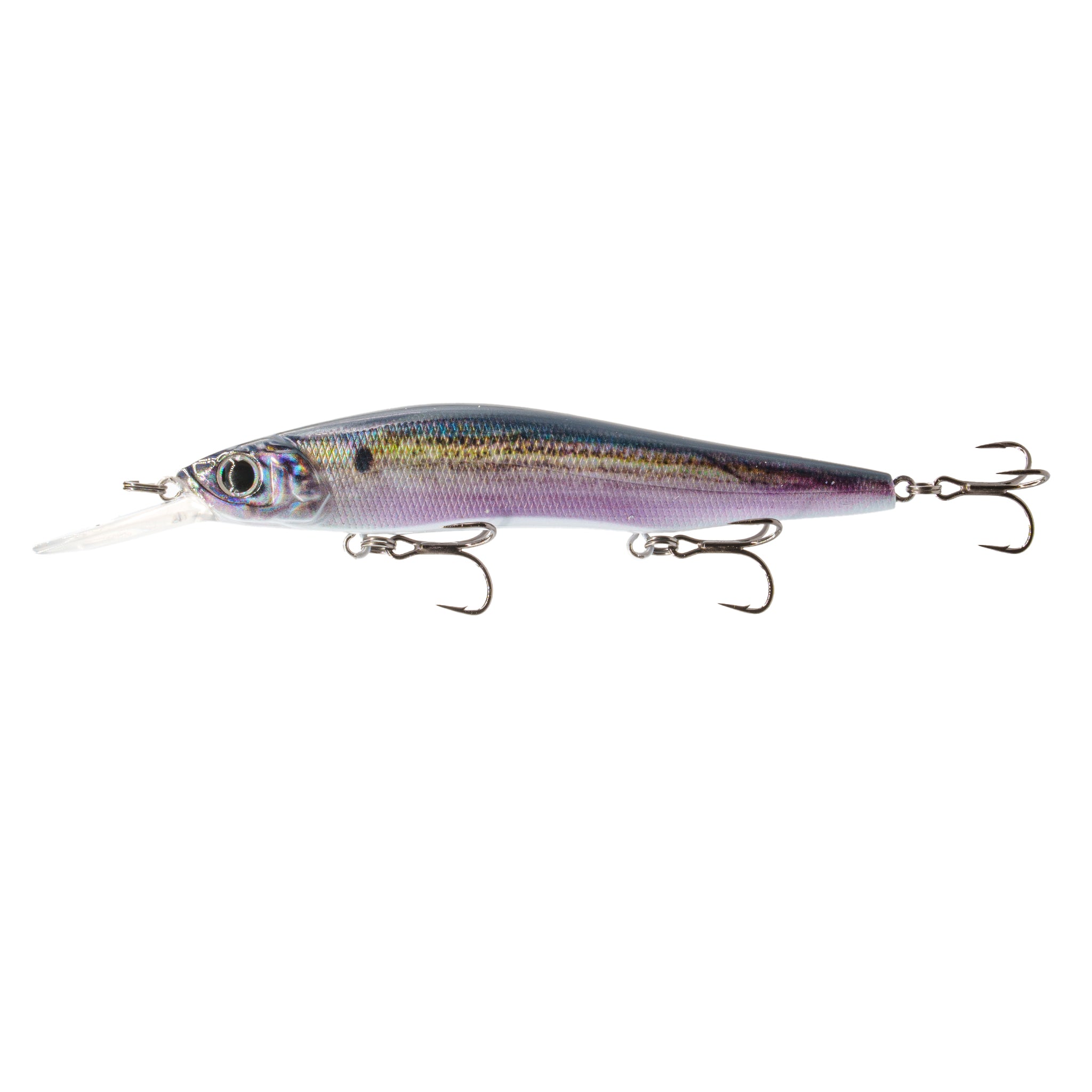 Provoke Series - Live Threadfin Flash