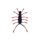 HuzzBug