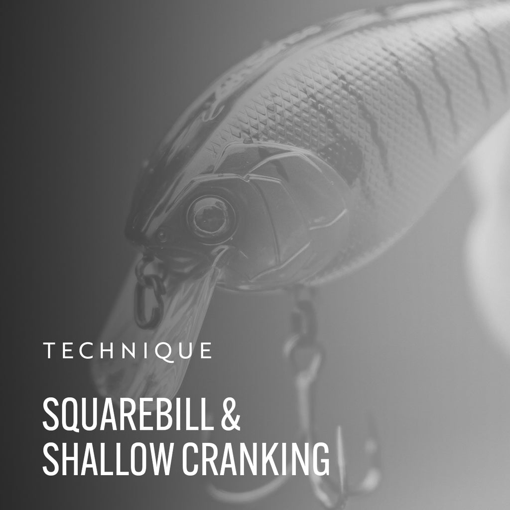 Shallow Crankbaits – 6th Sense Fishing